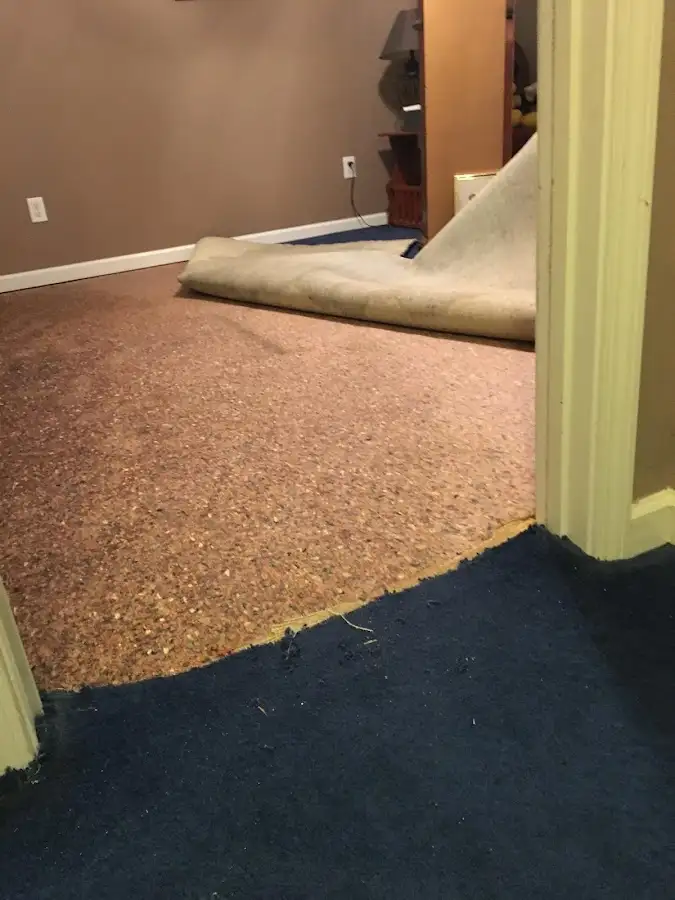 Carpet pad removal revealing water damage during Drying & Dehumidification in Beaumont