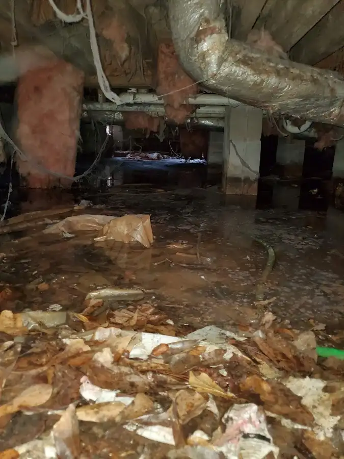 Crawl space flood assessment for Leak Detection & Repair in Beaumont